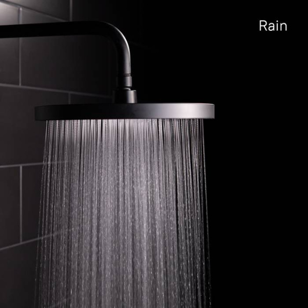 Душевая насадка IDDIS SpaHome верхняя круглая черная (SPA26BPi64)